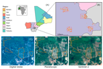 Sight for Sorghums: Comparisons of Satellite- and Ground-Based Sorghum Yield Estimates in Mali
